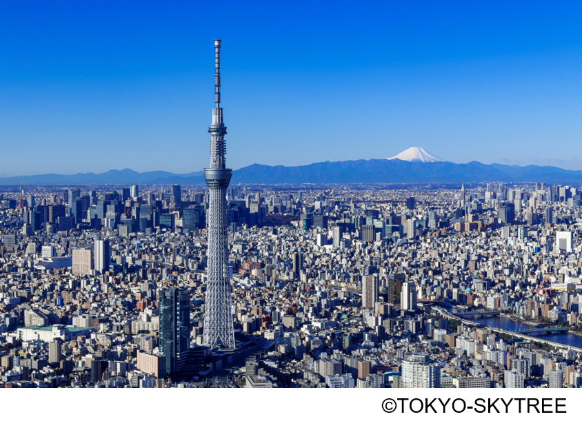 東京スカイツリー チーズケーキ付き 入場券 ワークピアやいづ